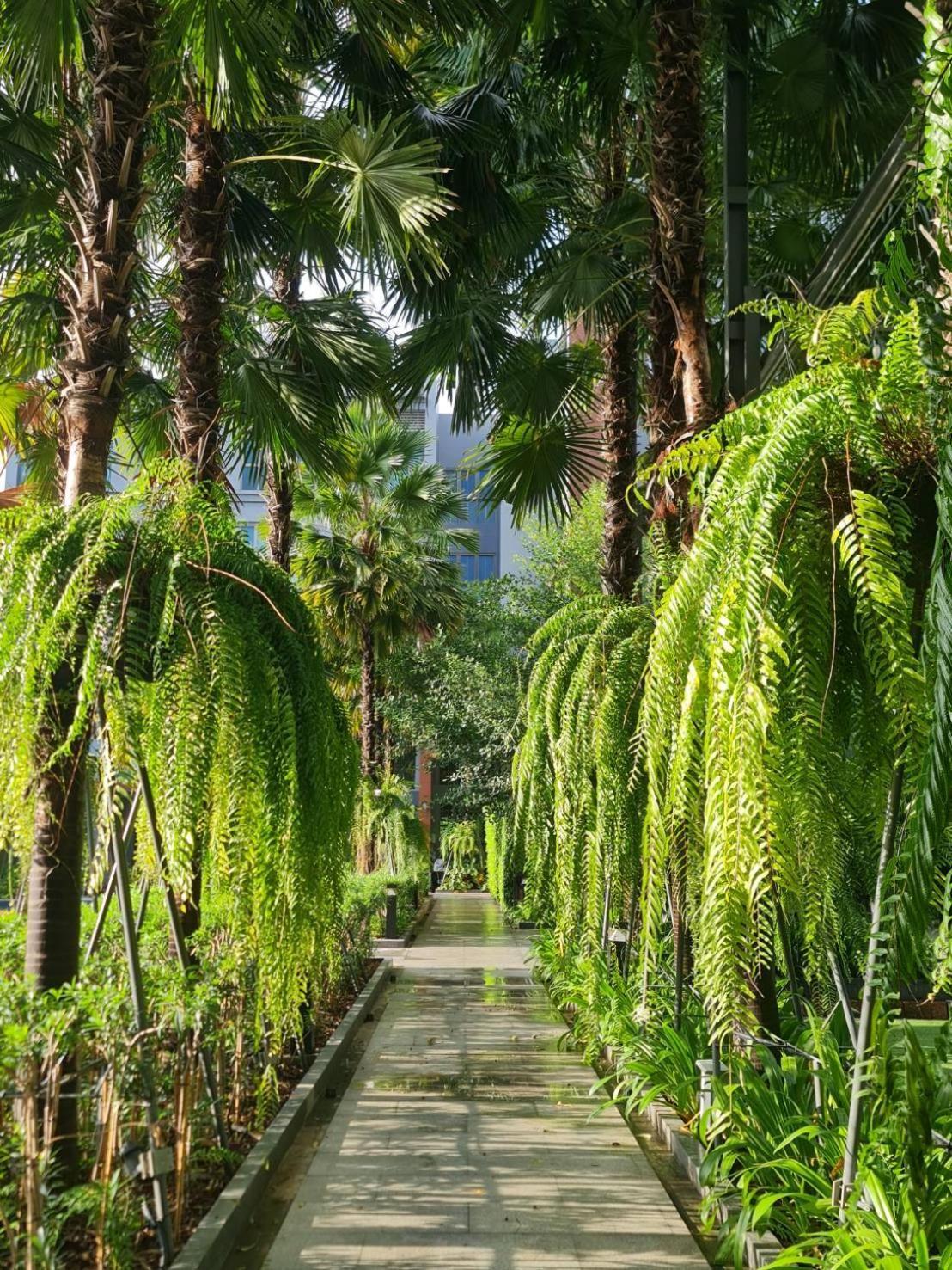 Aisana Hotel Korat Nakhonratchasima Dış mekan fotoğraf